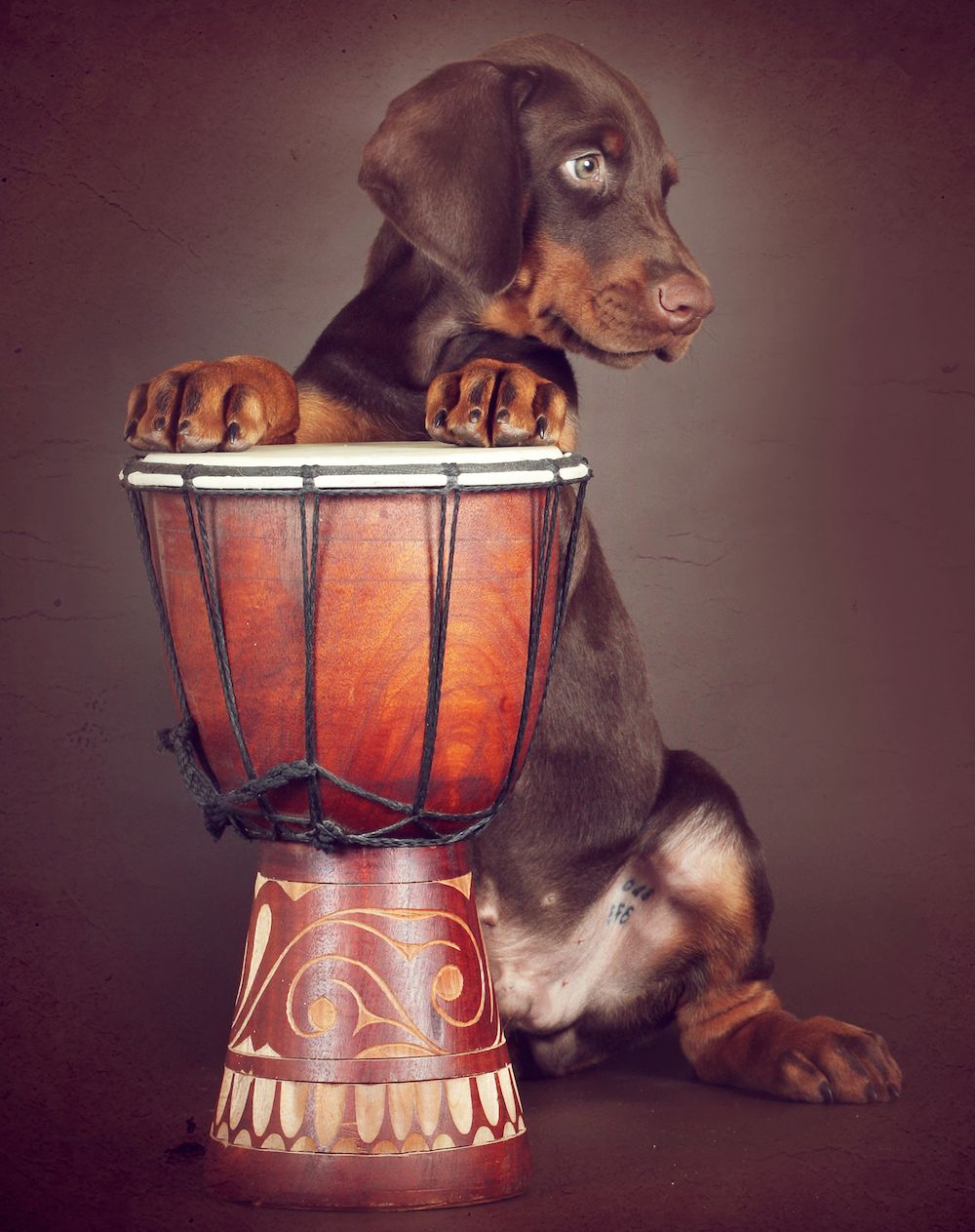 Editorial: August 22, 2025